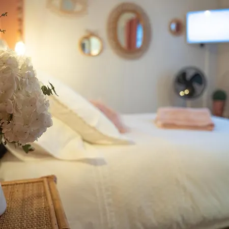 招待所 Le Rez De Jardin 阿尔比