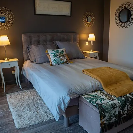 Le Rez De Jardin 4* Albi