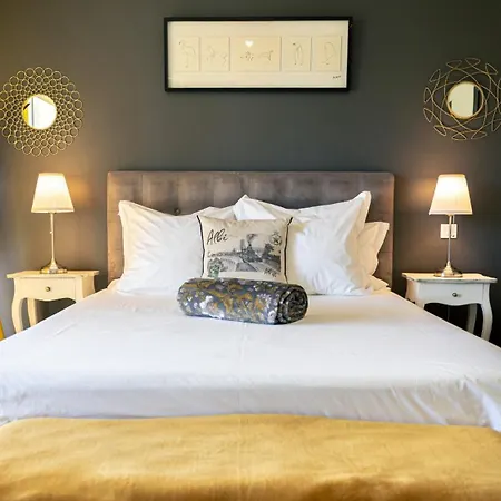 招待所 Le Rez De Jardin 阿尔比