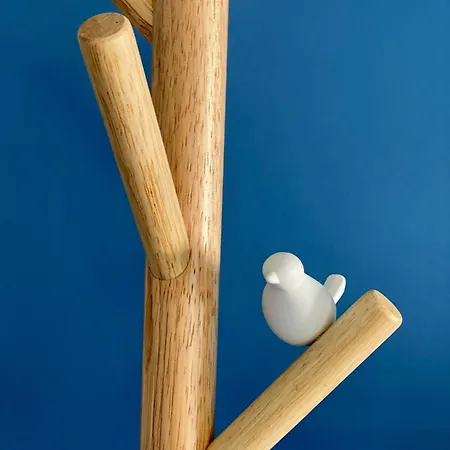 Le Rez De Jardin 4* 阿尔比