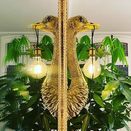 招待所 Le Rez De Jardin 4*