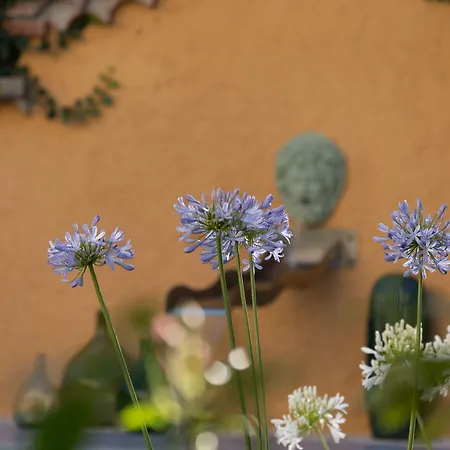 Pensión Le Rez De Jardin 4*