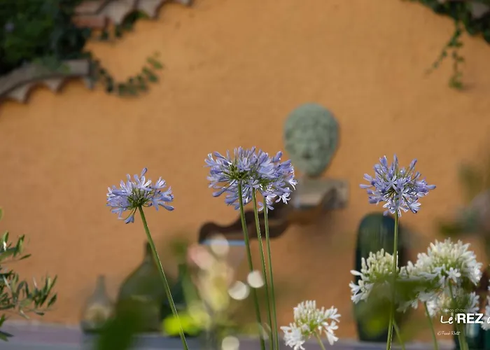 Le Rez De Jardin Maison d'hôtes 4*