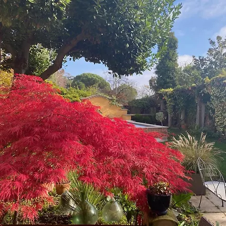 Le Rez De Jardin Albi