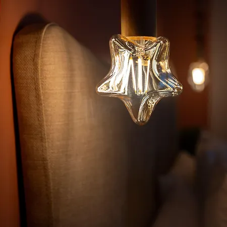 Le Rez De Jardin Albi