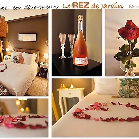 Le Rez De Jardin Albi