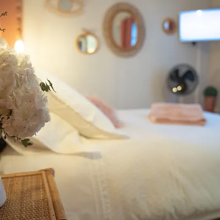Le Rez De Jardin 4* Albi