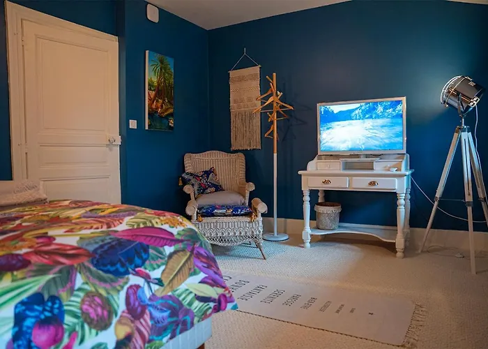 Le Rez De Jardin 4* Albi