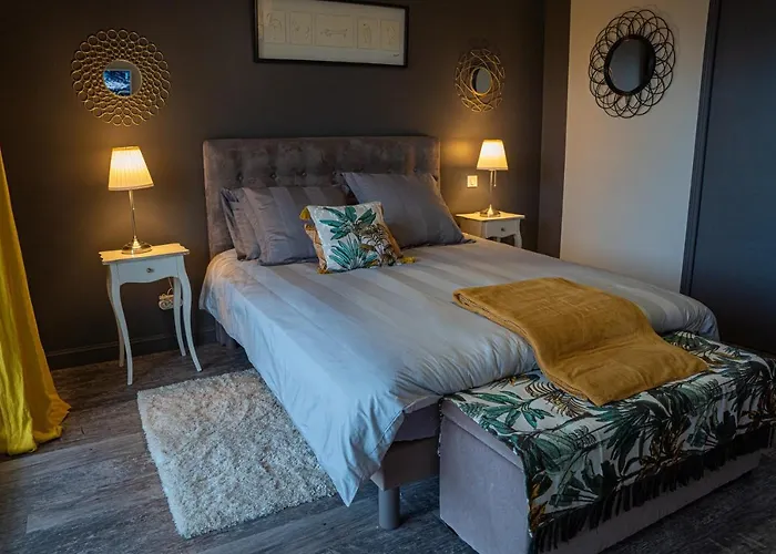 Le Rez De Jardin 4* Albi