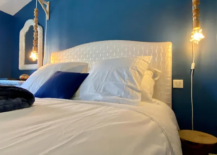 Le Rez De Jardin Pensión Albi