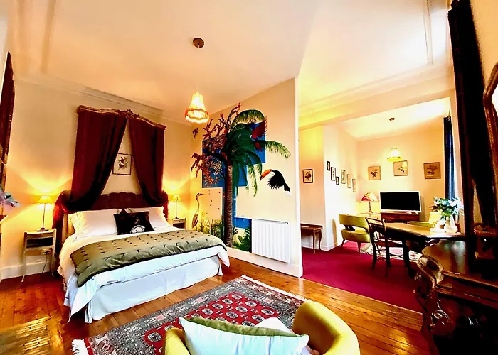 Le Rez De Jardin Albi