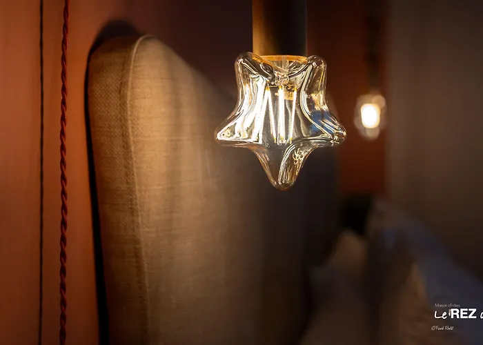 Le Rez De Jardin Albi